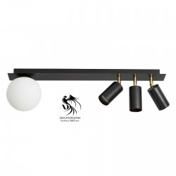 Spotlu Cam Plafonyer Avize